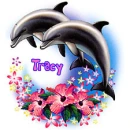 tracy