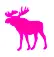 Pink Moose