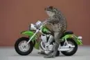 frog on bike