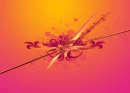 Orange Pink Background