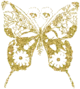 Batterfly