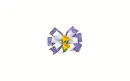 Ribbon