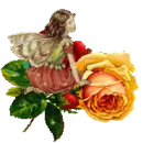 fairy