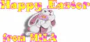 Happy Easter bunny