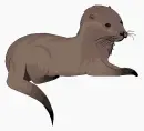 Lutra