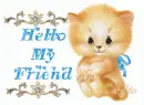 hello my friend