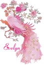 Evelyn's Pink Peacock
