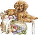 Dog N Cat