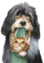 Dog N Cat
