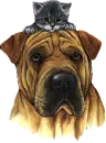 Dog N Cat