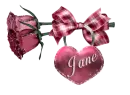 jane