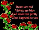 roses are red