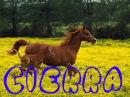 cierra