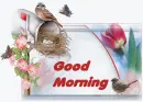 Good Morning!
