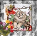 cat around flowers