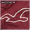 hollister clothes