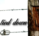 tied down