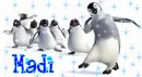 madi penguins background