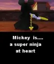 ninja