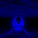 cute dolphine
