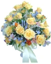 rosas