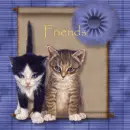friends