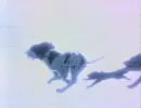Running Dogs