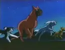 Running Dogs