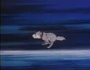 Running Dog