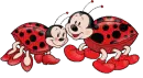 Ludy bugs