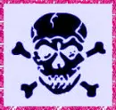 skull
