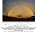 rainbow tree
