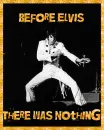 before elvis there was nothing