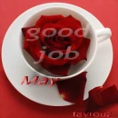 red rose