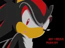 Shadow got Punk'd