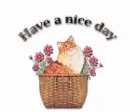 nice day