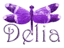purple dragonfly delia