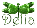 green dragonfly delia