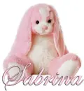 FLOPPY: SABRIINA