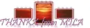 sunset trio diamonds thanks