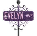 purple street sign evelyn AVE