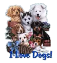 Love~dogs
