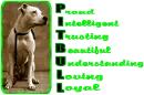 Pitbull