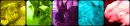 bunny color bar