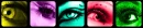 eye color bar