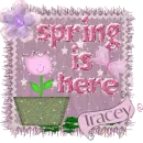 Spring is here-tracey