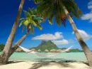 tropical beach