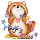 raccoon