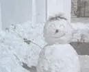 snow