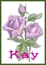 KAY 3